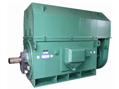 铅山Y系列6KV高压电机